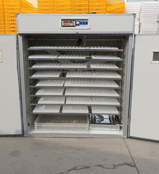 Incubateur d'œufs de poulet 20 - Poultry Incubator avis et prix